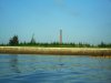 SDC10263.jpg