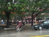 DSC03993_副本.jpg