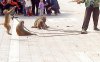 DSC05454.jpg