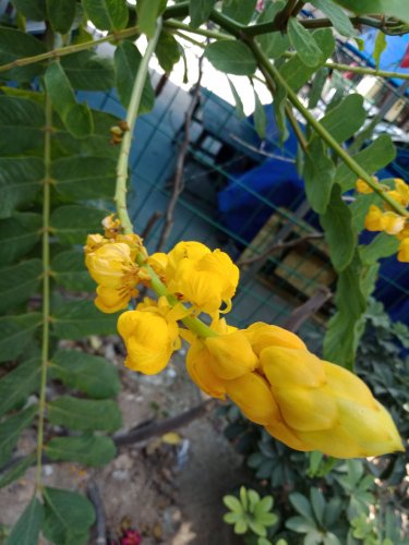 IMG20180523124957.jpg