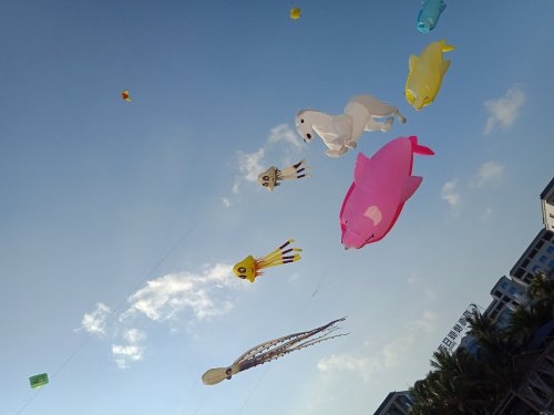 IMG20180609174016.jpg