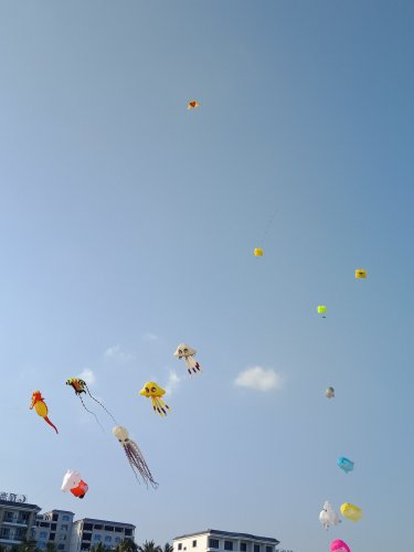 IMG20180609174230.jpg