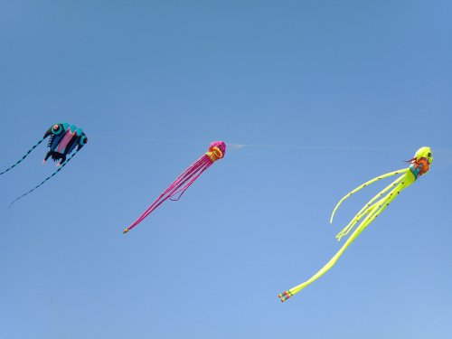 IMG20180609174512.jpg