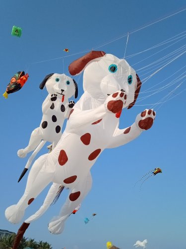 IMG20180609174749.jpg