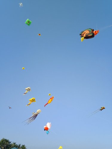 IMG20180609174819.jpg