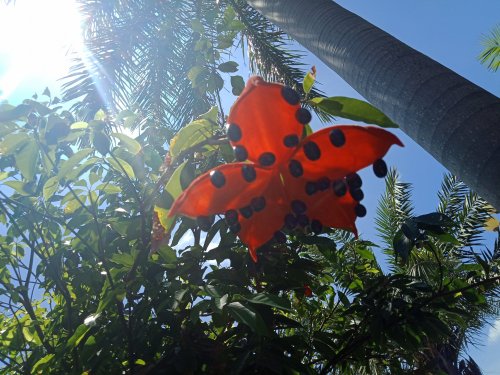 IMG20180609112257.jpg