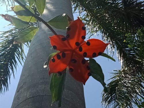 IMG20180609112309.jpg