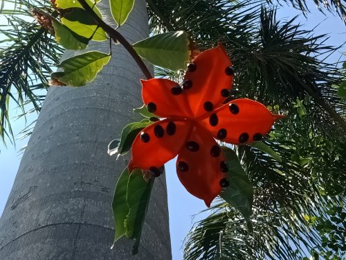 IMG20180609112314.jpg