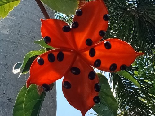 IMG20180609112318.jpg