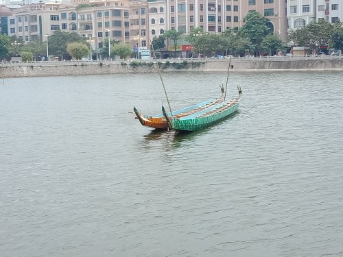 IMG20180611121229.jpg