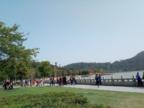 IMG_20100112_140919.jpg