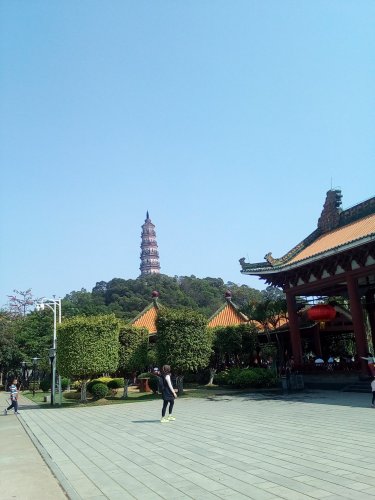 IMG_20100112_140307.jpg