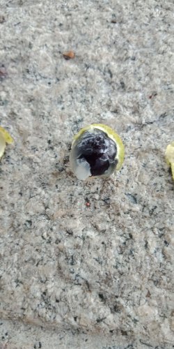 IMG20180626101247.jpg