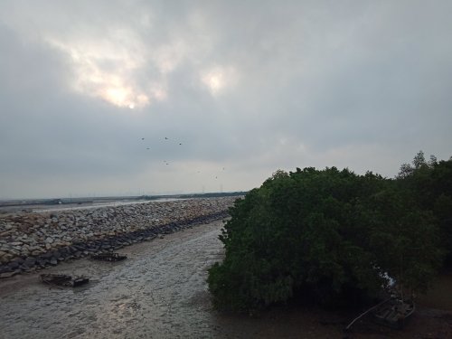 IMG20190306075933.jpg