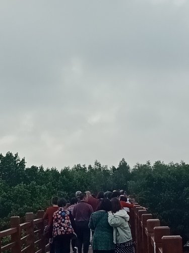 IMG20190306084634.jpg