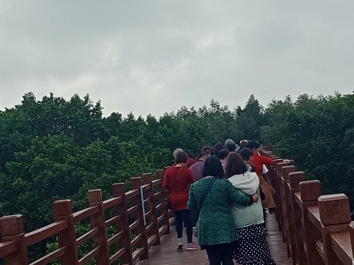 IMG20190306084637.jpg