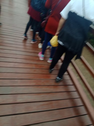 IMG20190306084726.jpg