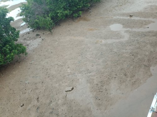 IMG20190306084735.jpg