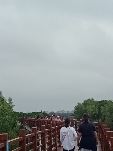IMG20190306085112.jpg