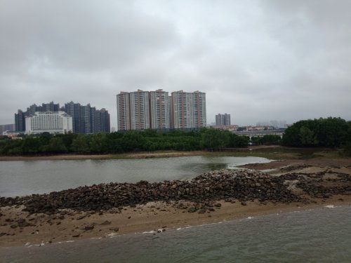 IMG20190306090553.jpg