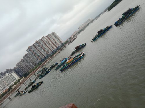 IMG20190306091418.jpg