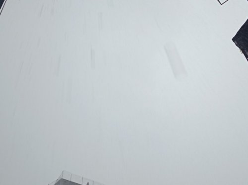 IMG_20190306_100409.jpg
