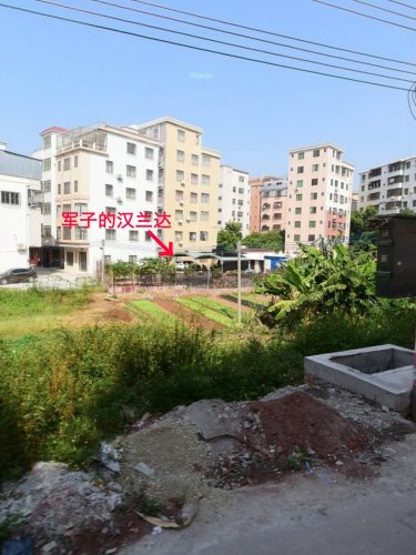mh1552151148326.jpg