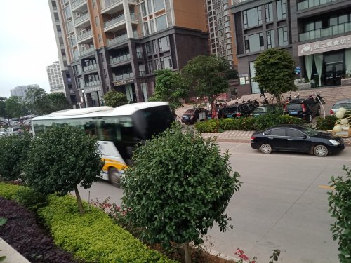 IMG20190310081031.jpg