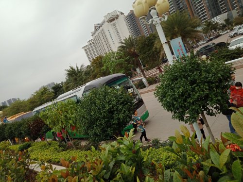 IMG20190310084004.jpg