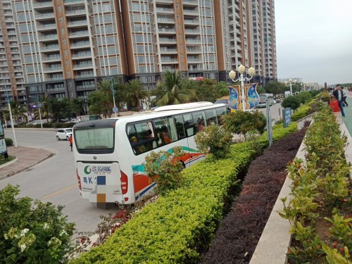 IMG_20190310_235403.jpg