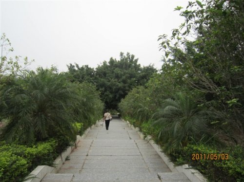 psu (11).jpg