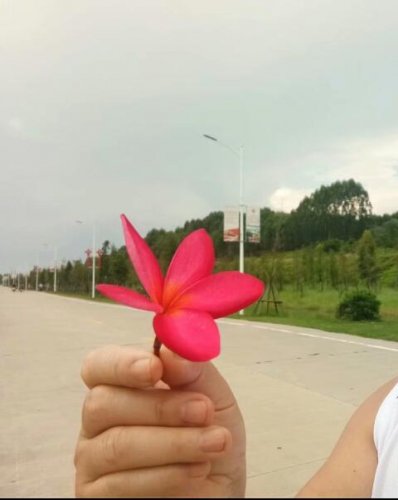QQ截图20190902082219.jpg