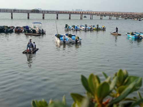 IMG20190426074850.jpg