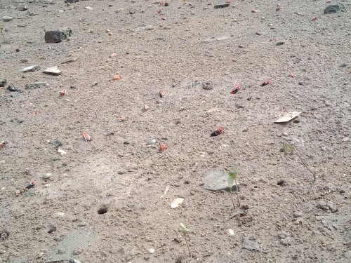 IMG20191020091039.jpg
