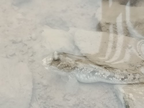 IMG20191028075113.jpg