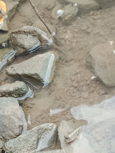IMG20191028080916.jpg