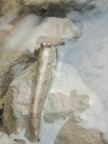 IMG20191028081017.jpg