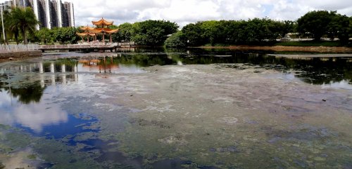 IMG_20200620_143133_副本.jpg
