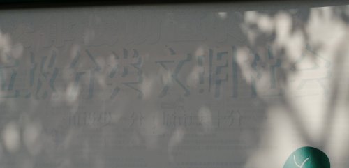 IMG_20201006_130956.jpg