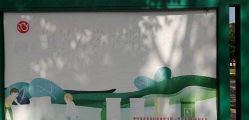 IMG_20201006_131104.jpg