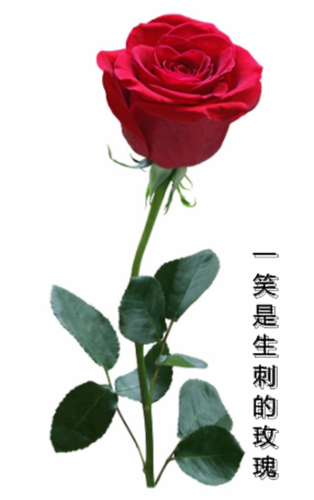 231_副本.png
