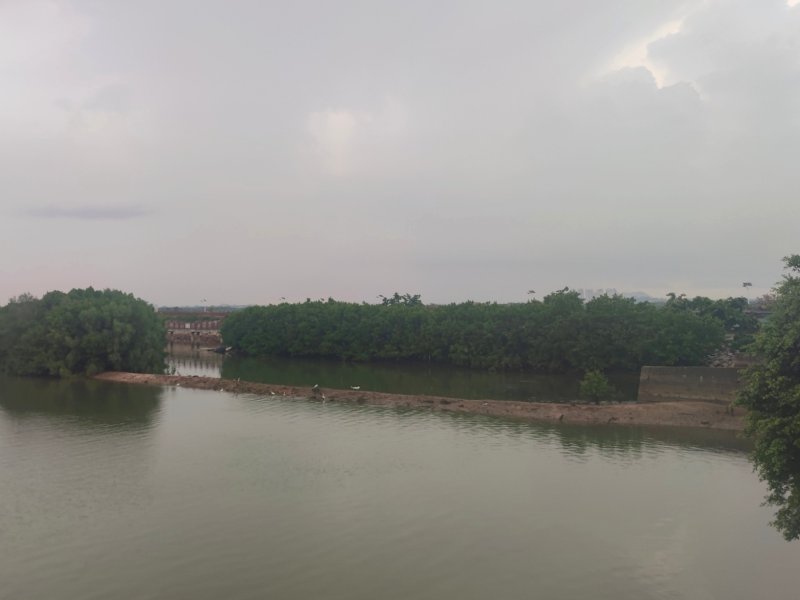 IMG_20250730_234933.jpg