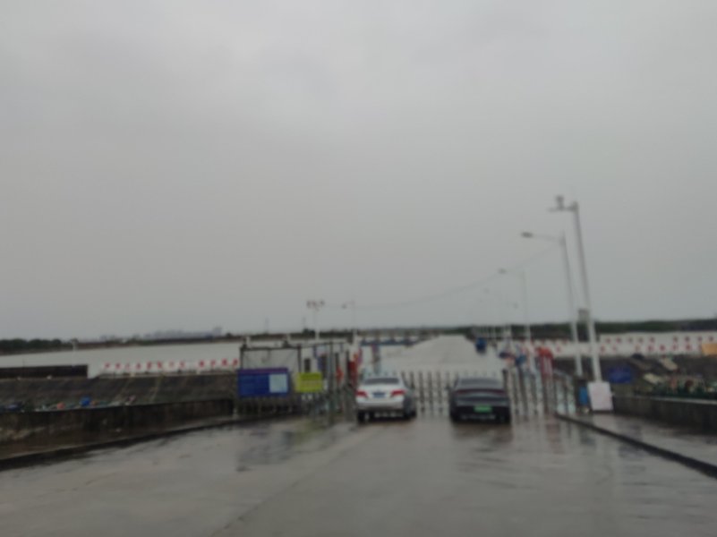 IMG_20250924_163252.jpg