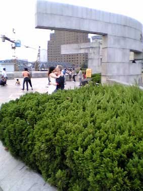 200591614649331.jpg