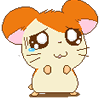 哭.GIF