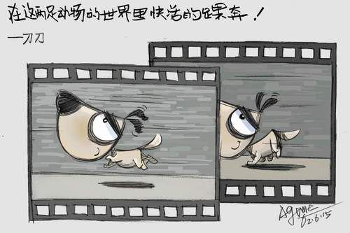 20.jpg